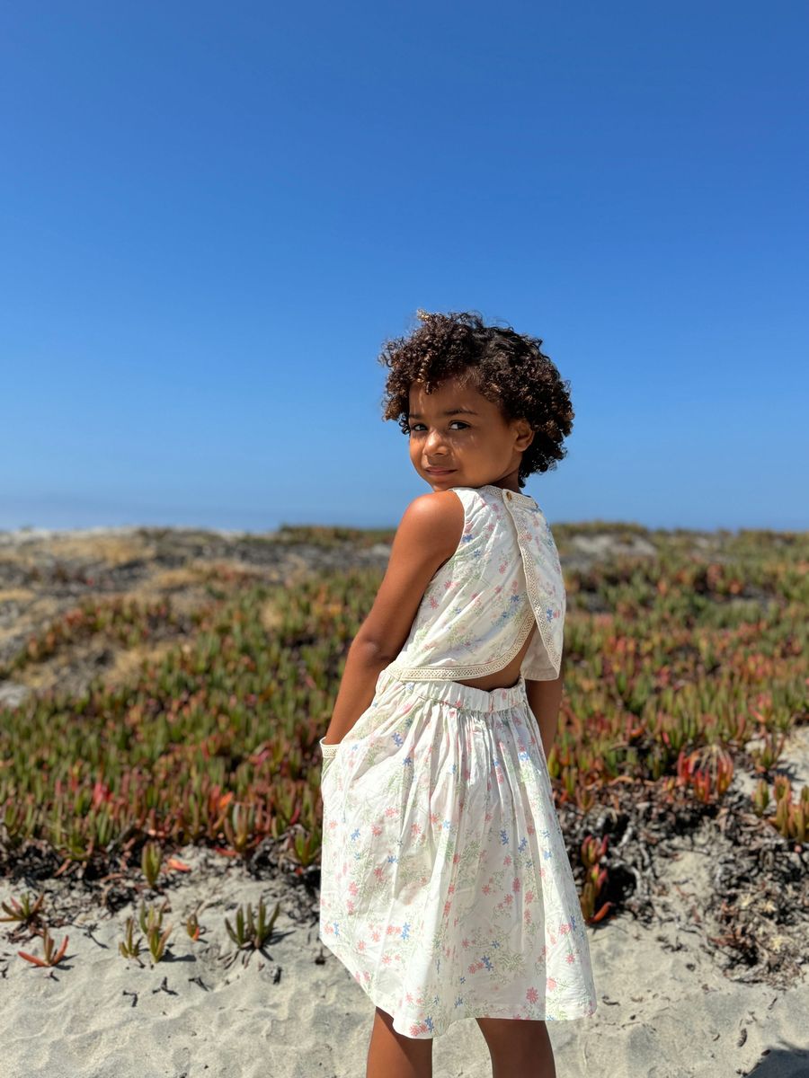Nina Dress- Pink Meadow Flowers