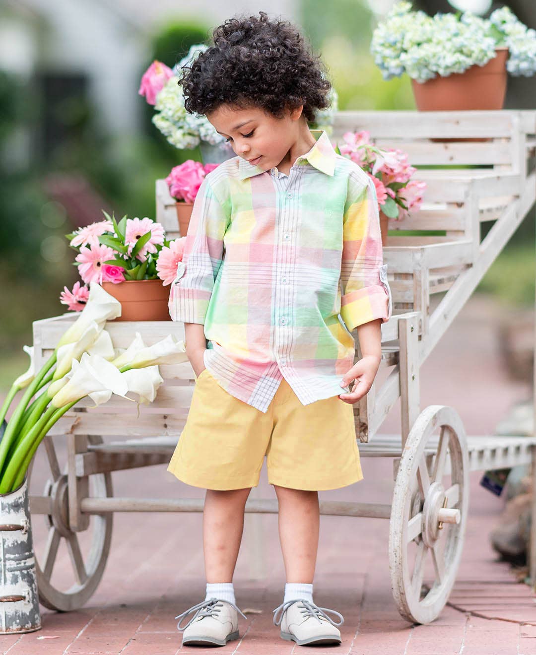 Boys Sunny Khaki Chino Shorts