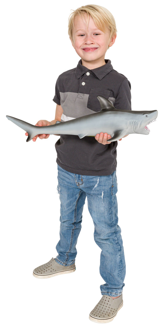 Epic Hammerhead Shark