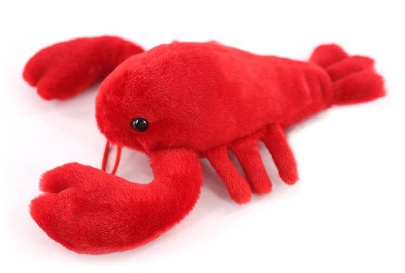 Scoopz Red Lobster