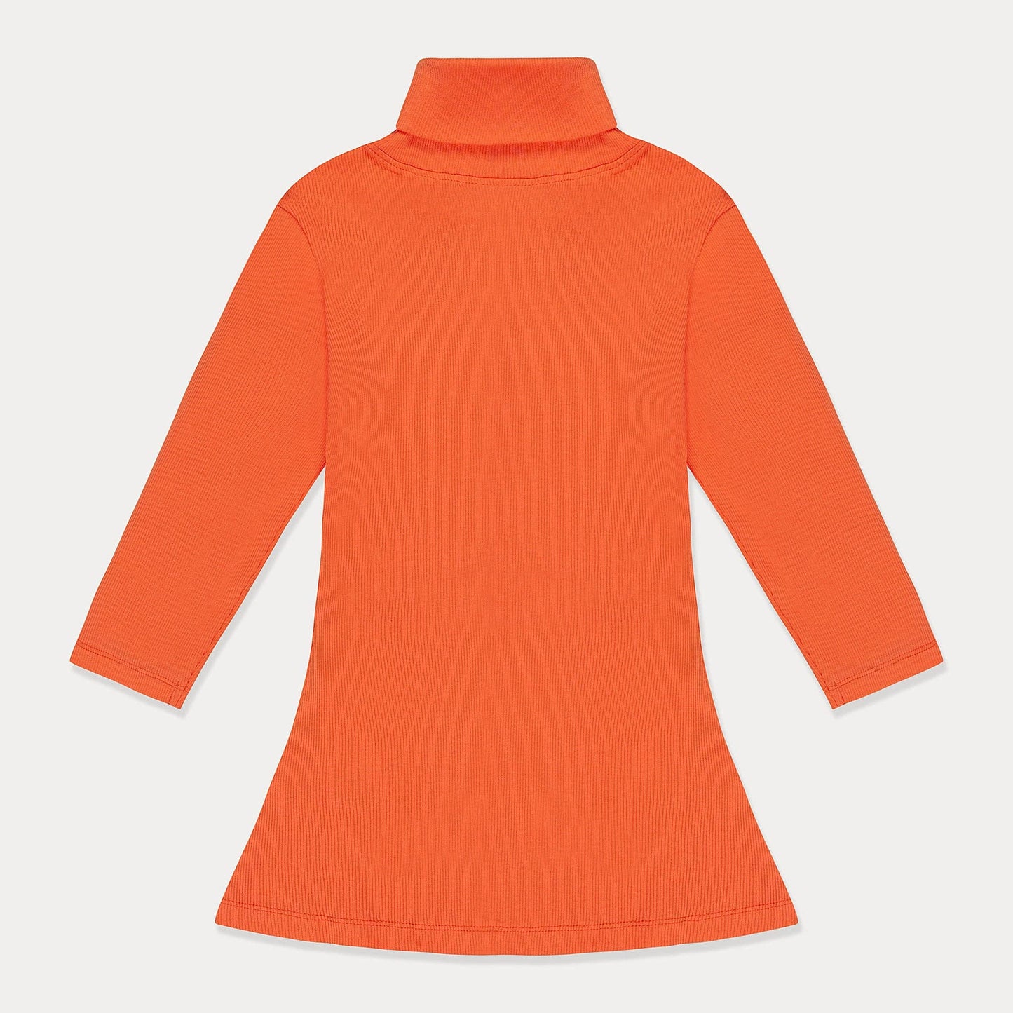 Ribbed Turtleneck Dress