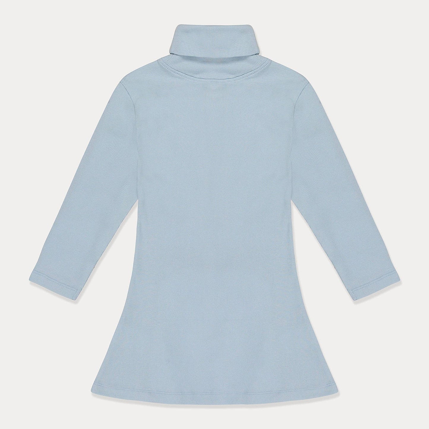 Ribbed Turtleneck Dress