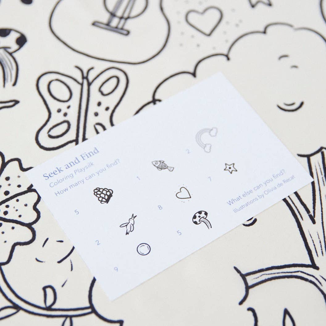 Doodle Coloring Seek & Find & Playsilk Markers