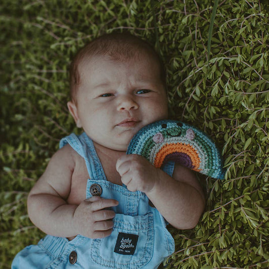 Friendly Weather Rattle - Muted Rainbow