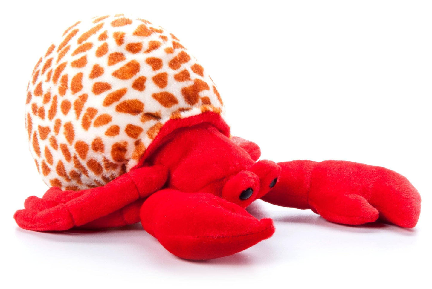 Wild Onez Hermit Crab