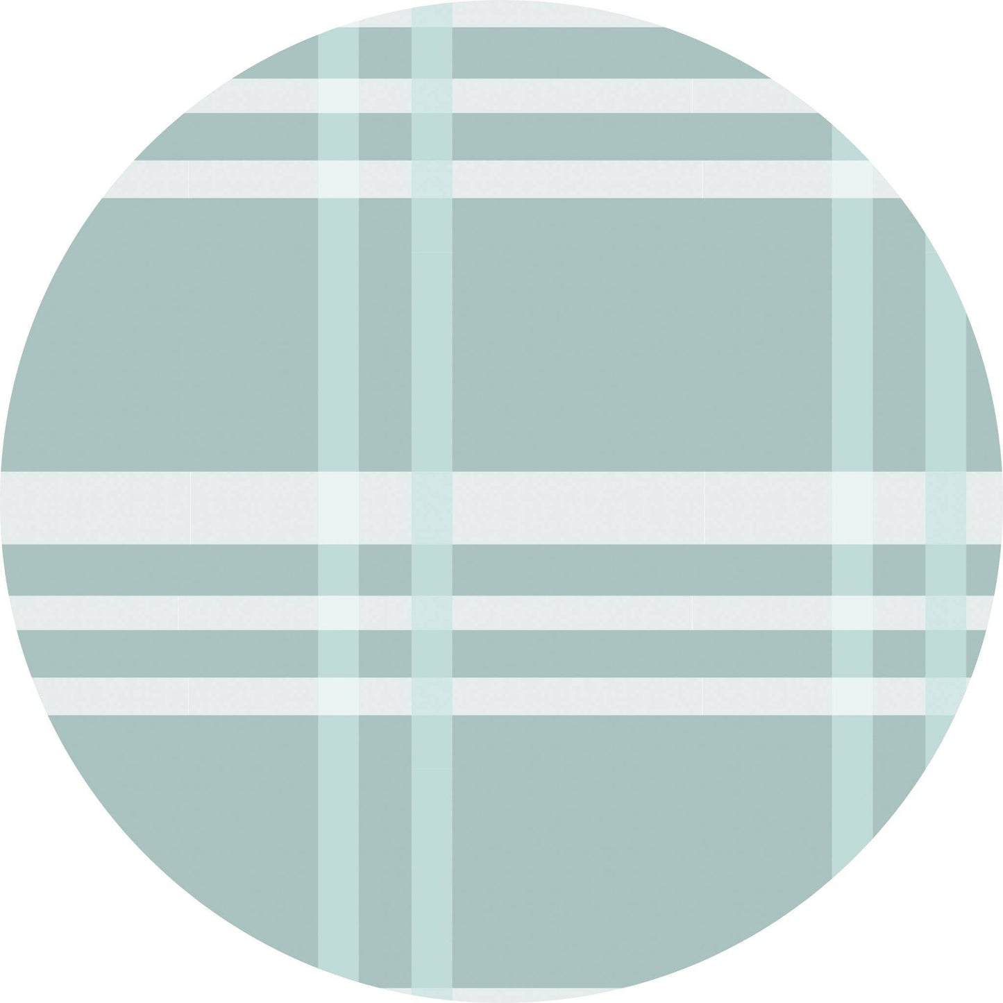 Blue Plaid Boys Swim Trunks