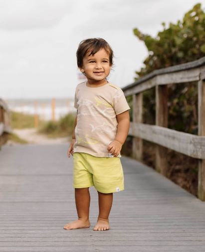 Great White Shark Set