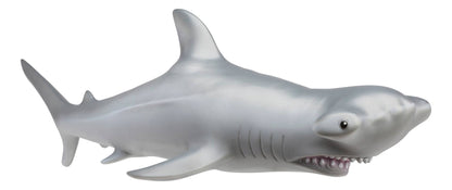 Epic Hammerhead Shark