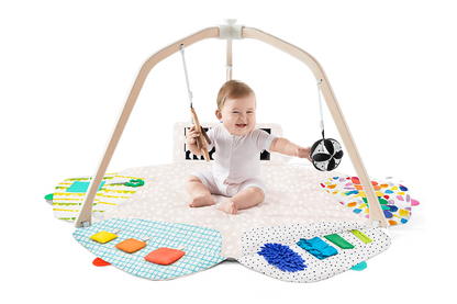 The Play Gym