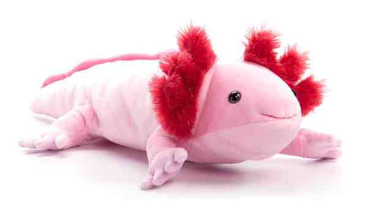15" (39cm) Wild Onez Small Axolotl Sea Life