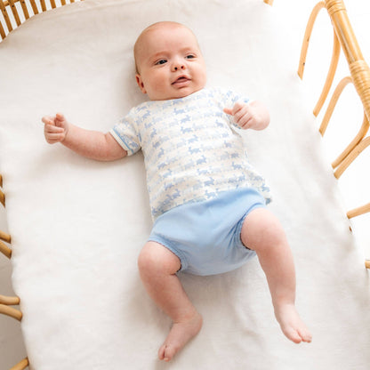 Bunny Hop Diaper Cover Set - Sky