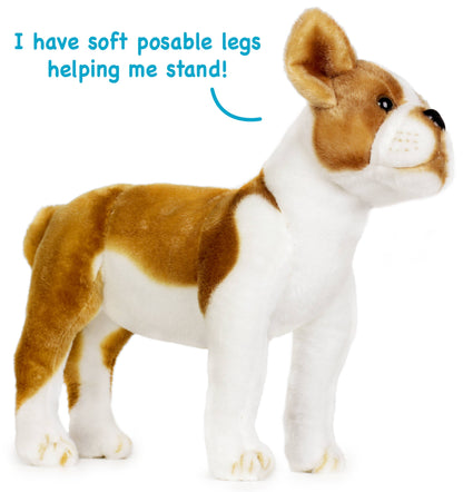 Bobby The Boston Terrier| 15 Inch Stuffed Animal Plus