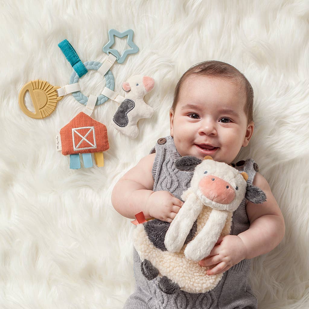 *NEW OPTION* Bitzy Busy Ring™ Teething Activity Toy