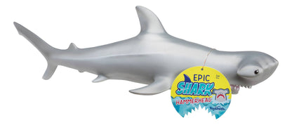 Epic Hammerhead Shark