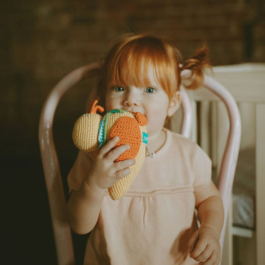 Pebble Rattles Pebble Rattles – Wildflower Kids