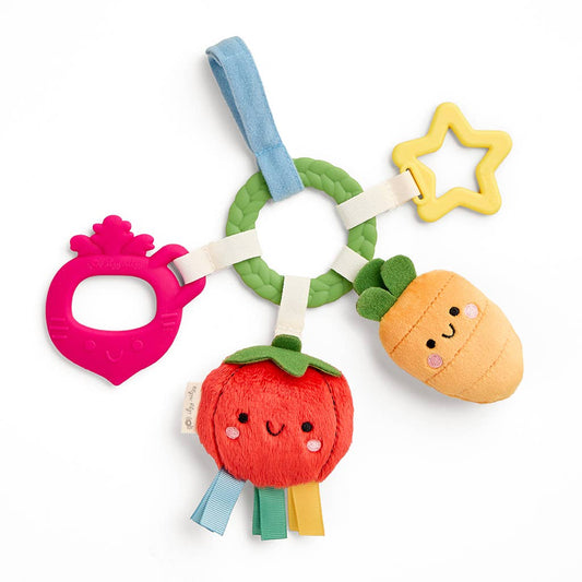 *NEW OPTION* Bitzy Busy Ring™ Teething Activity Toy