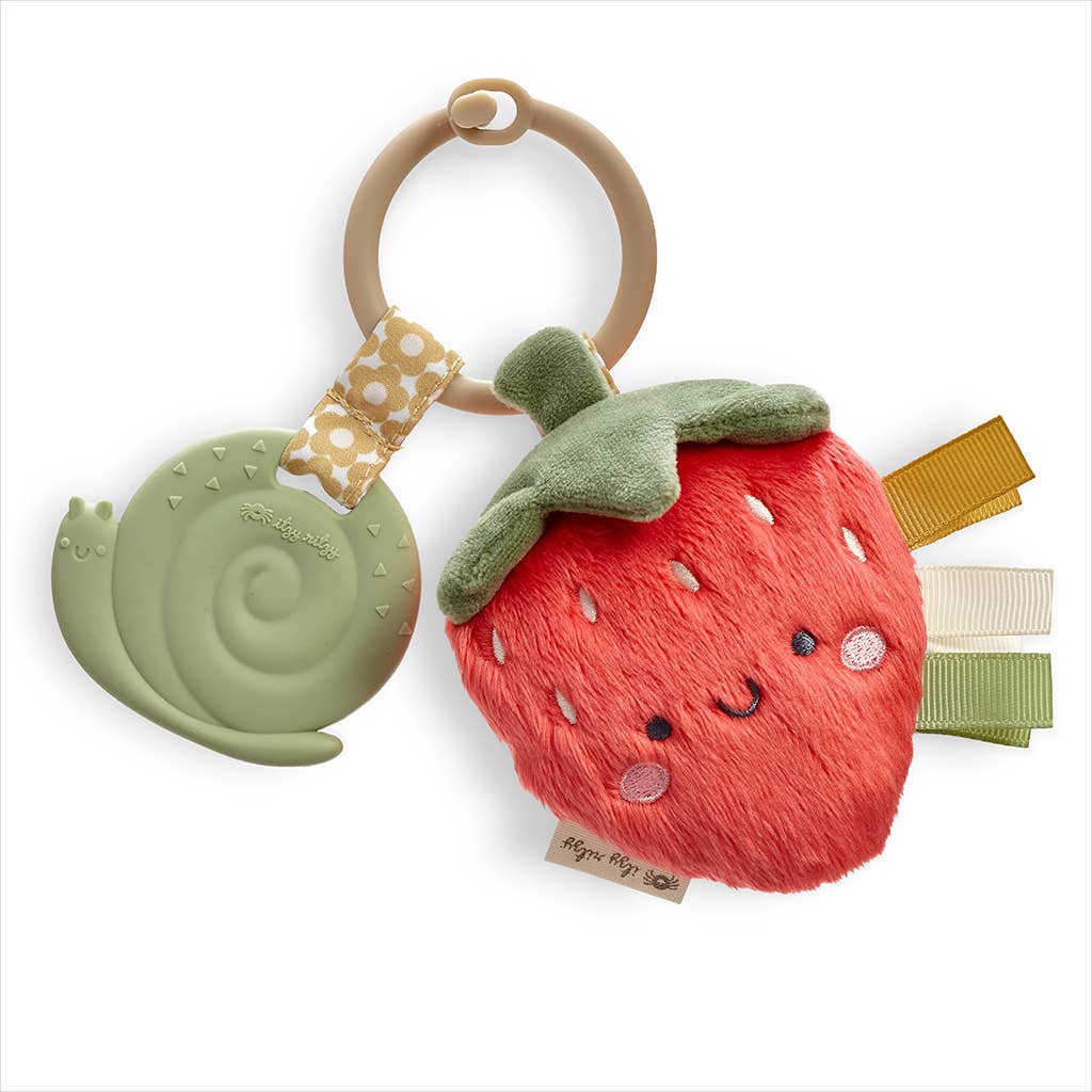 Itzy Ritzy- Itzy Pal™ Plush + Teether