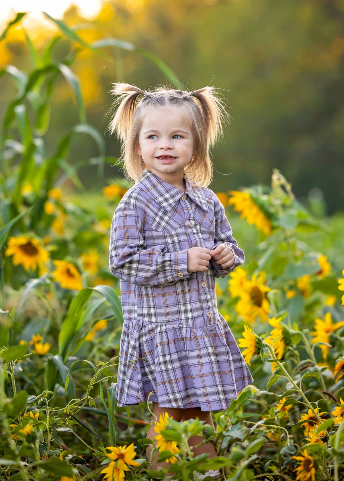 Char Dress Long Sleeve Plaid Dropwaist Flannel Dress