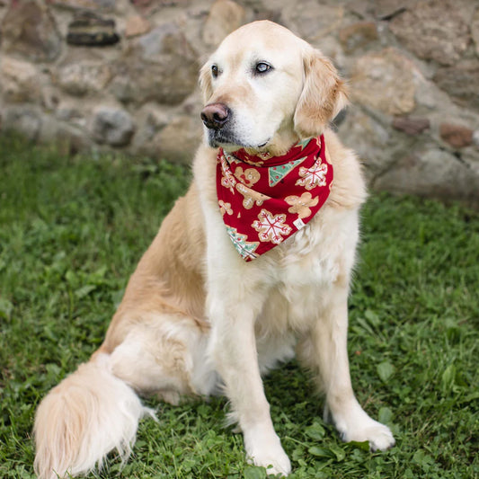 Gingerbread Pet Bandana